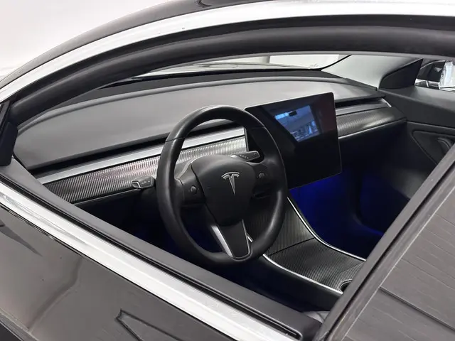 Tesla Model 3 Long Range AWD 75 kWh | Lichtmetalen velgen | SOH 87% |