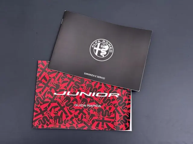Alfa Romeo Junior