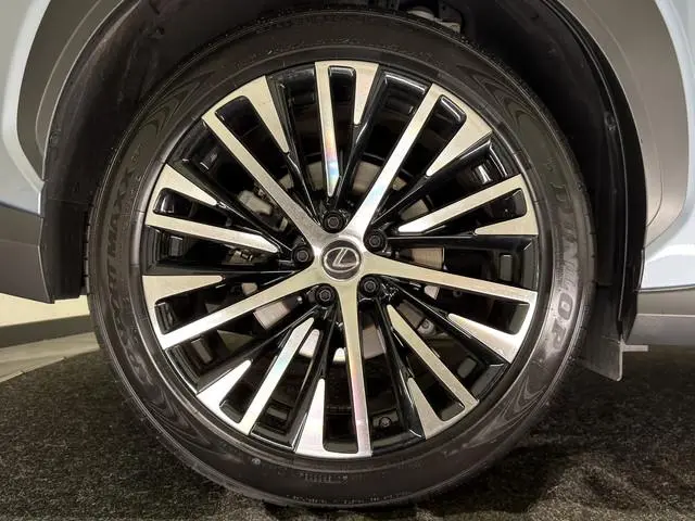 Lexus RZ