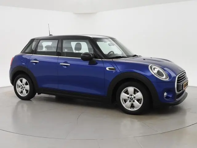 Mini Mini