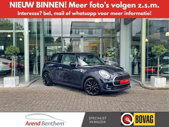 Mini Mini