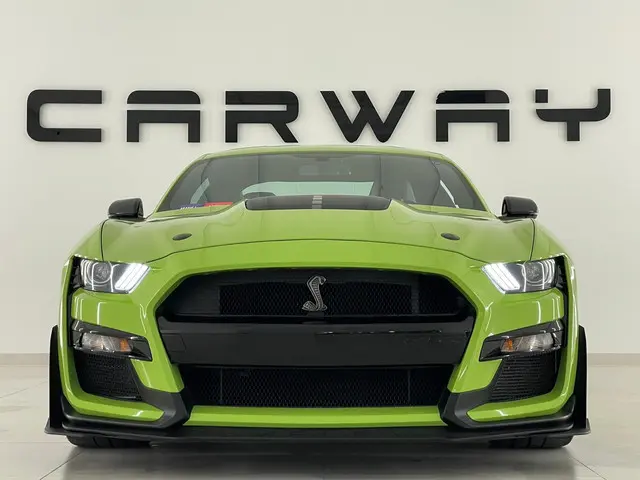 Ford Mustang GT500 Shelby Track Pack