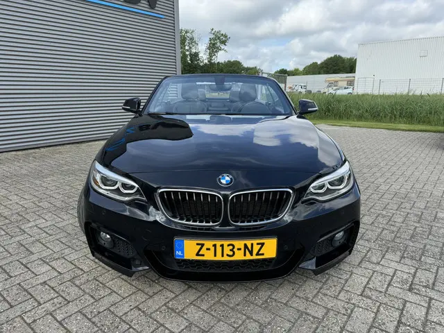 BMW 2-serie Cabrio 218i High Executive M Sport 18 inch Xenon Lederen interieur PDC Navigatie Stuurve...