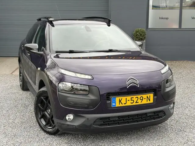 Citroen C4 Cactus 1.2 PureTech Business Plus 2e Eigenaar,Pano,Camera,Navi,Trekhaak,Pdc V+A,Clima,Cru...