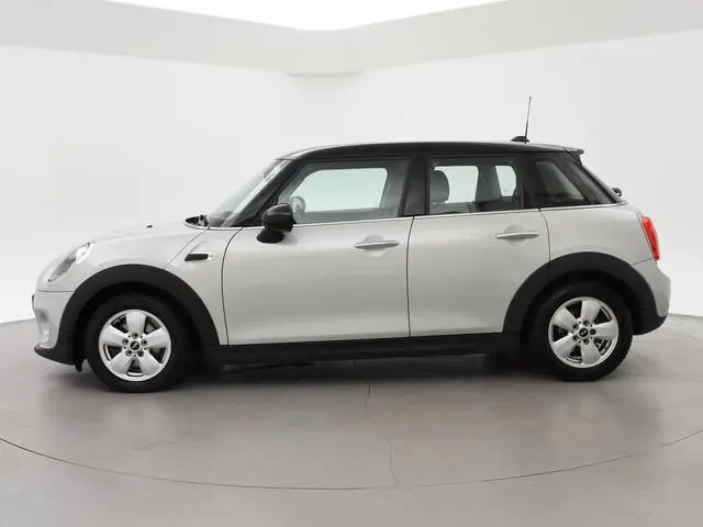 Mini Mini