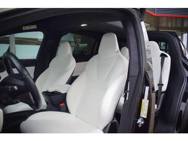 Tesla Model X 100D |ENHANCED AUTOPILOT|TREKHAAK|CAMERA