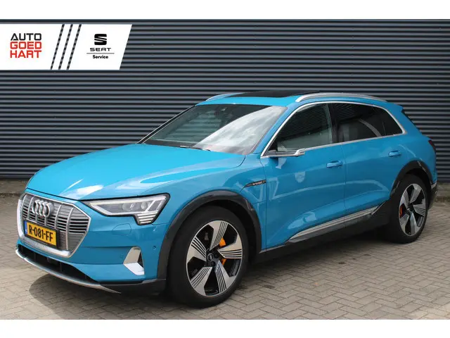 Audi e-tron e-tron 55 Quattro Advanced Pro Line Plus 95 kWh Panoramadak B&O Camera SOH 96%