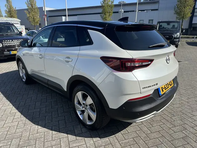 Opel Grandland X 1.2 Turbo Business Executive Camera Carplay Sportstoelen Stoelve