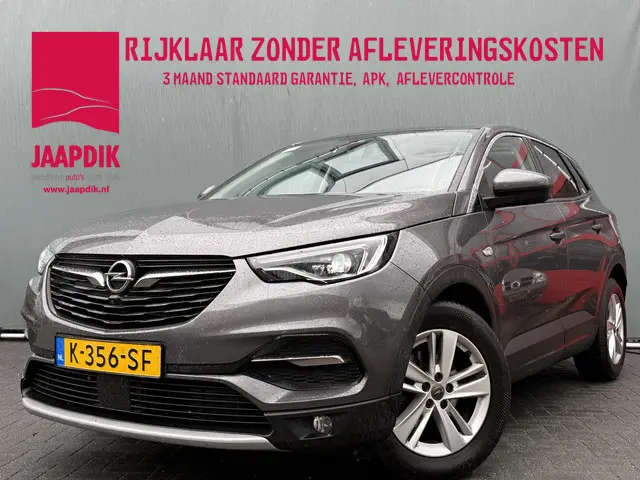 Opel Grandland X BWJ 2021 1.2 Turbo 131 PK  Business Elegance PANO | CAMERA | DAB | DODE HOEK | CARP...
