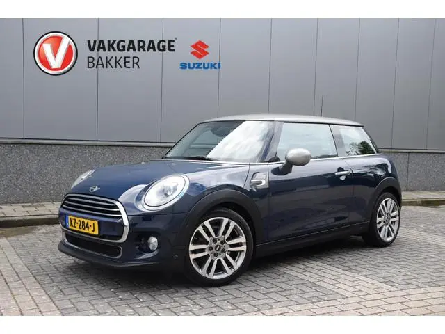 Mini Mini