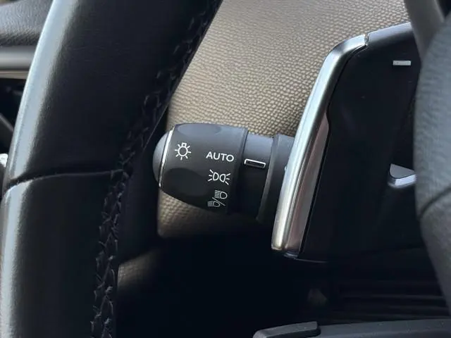 DS DS 3