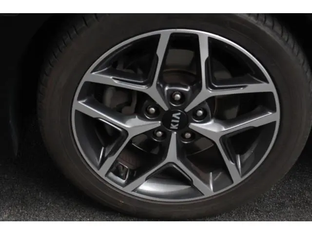 Kia ProCeed 1.0 T-GDI 120pk GT-Line  Navigatie Climate Control Camera JBL Audio Lane/Side Assist Sto...