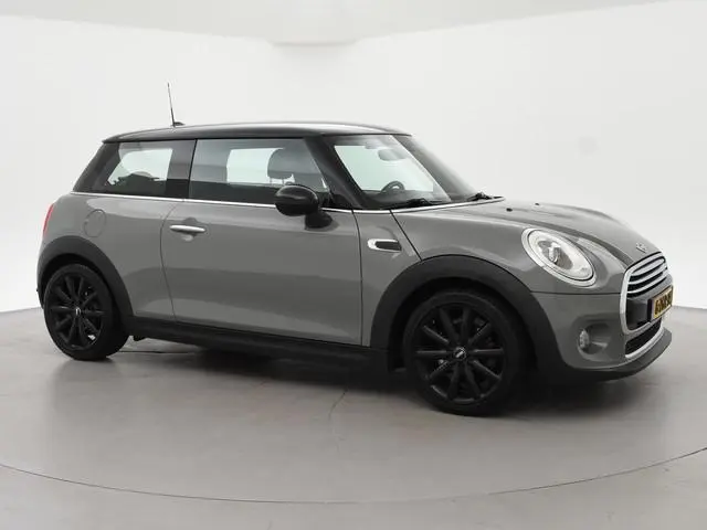 Mini Mini