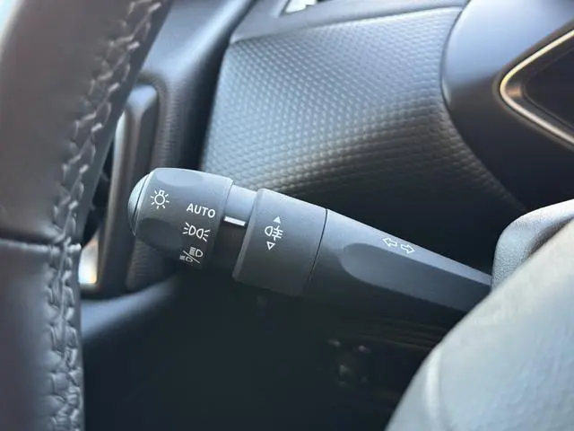 DS DS 3