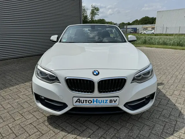 BMW 2-serie Cabrio 218i Executive Sport Line Leer Navigatie PDC Xenon Climate Control Stuurverwarmin...