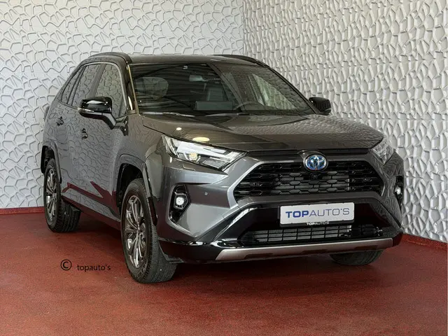 Toyota RAV4 2.5 Hybrid LED LEER CAMERA JBL ELEK.KLEP NAVI CAMERA 18''LMV  ADAP.CRUISE  ELEK.STOEL ST...