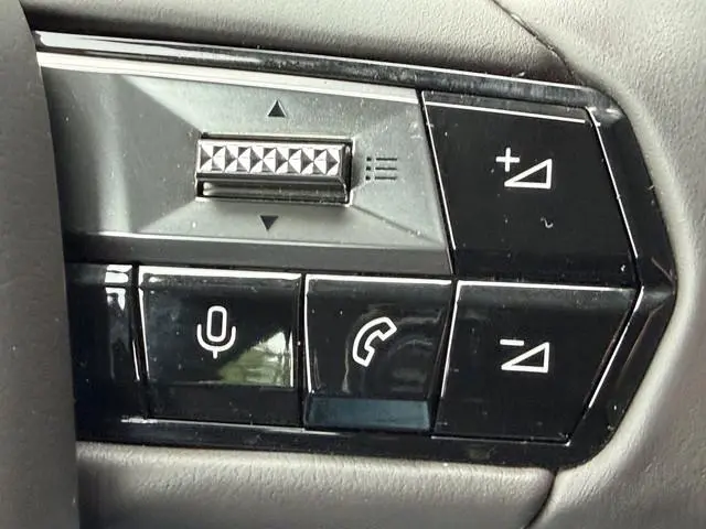 DS DS 4