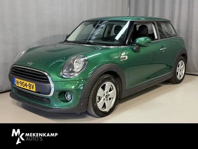 Mini Mini
