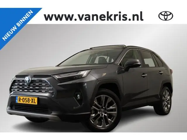Toyota RAV4 2.5 Hybrid AWD Executive, Panodak