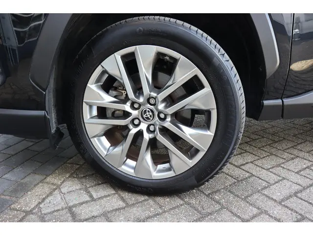 Toyota RAV4 2.5 Hybrid AWD Executive, Bearlock