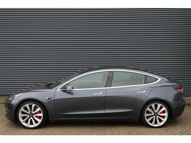 Tesla Model 3 Performance AWD 75 kWh Panoramadak Auto-Pilot Carbon
