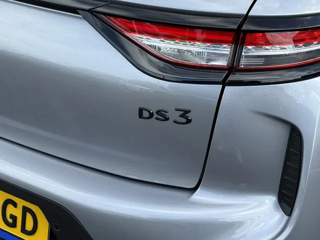 DS DS 3
