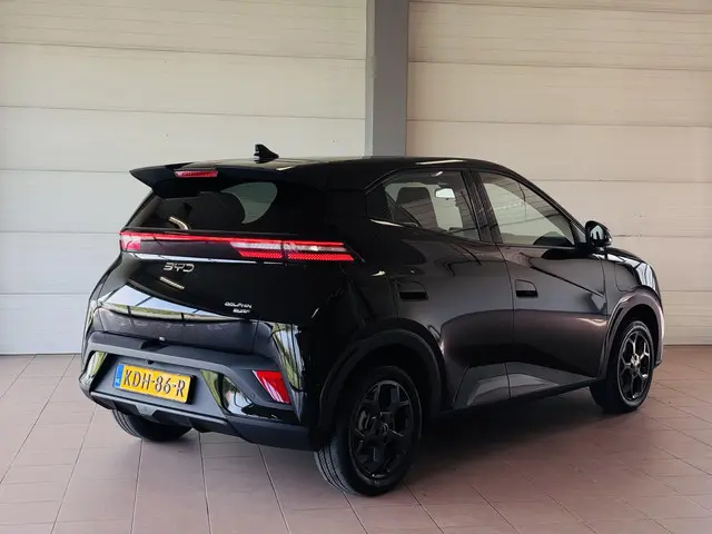 BYD DOLPHIN SURF