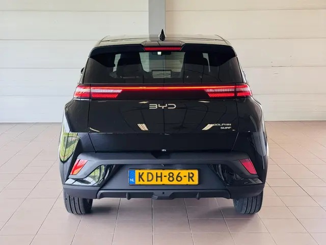 BYD DOLPHIN SURF