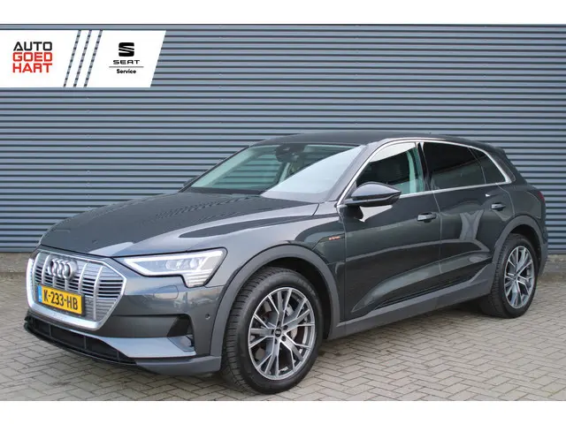 Audi e-tron 55 Quattro edition 95kWh 408PK Leer Full-Led Camera