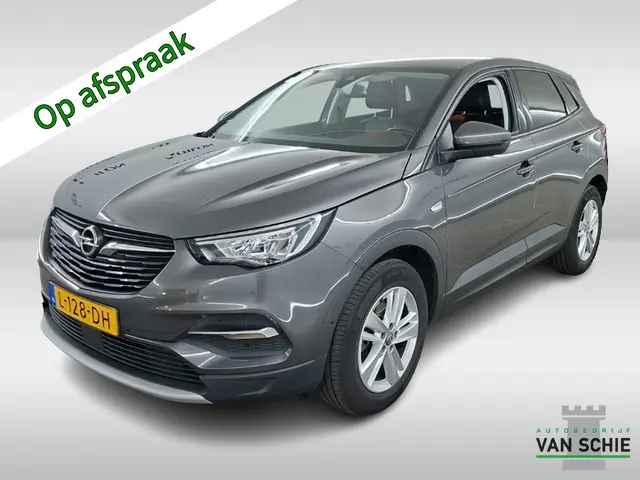Opel Grandland X 1.2 Turbo Elegance 1e-Eig. & Dealer-Onderh. BOVAG-Garantie. NL-Auto.